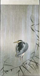 Vogel im Regen, 1907